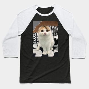 The little cute cats fold Baseball T-Shirt